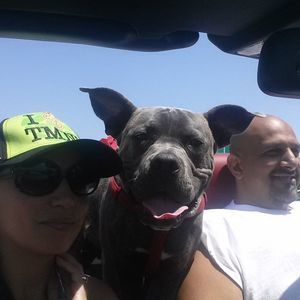 Meet your Posher, Michelle